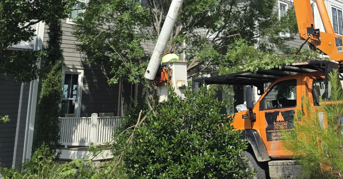 Shrub Removal and Shrub Trimming in Eastern Oklahoma