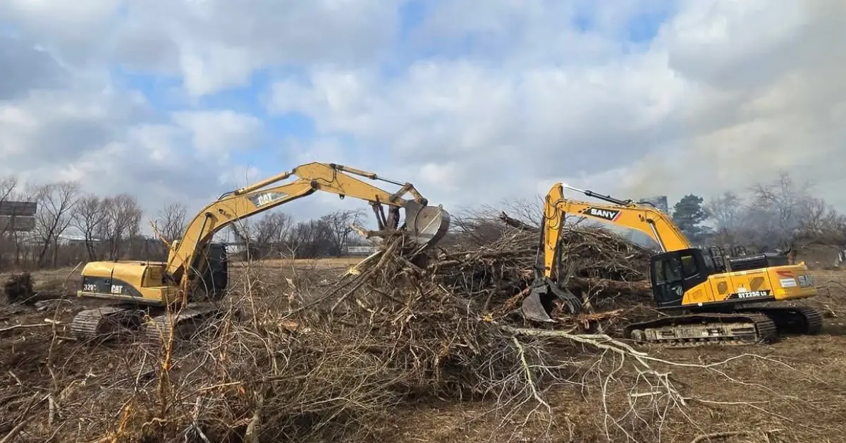Land Clearing