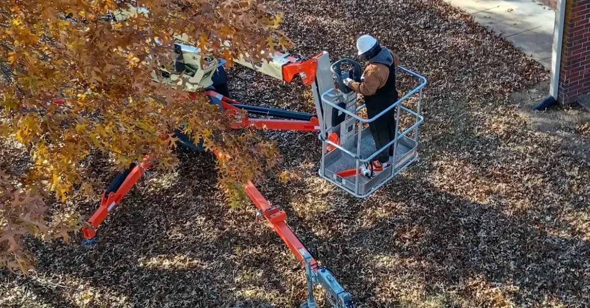 Checotah Tree Service arborist assessing trees to determine whether removal is necessary