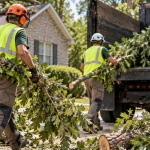 Crew hauling debris after an emergency tree cleanup